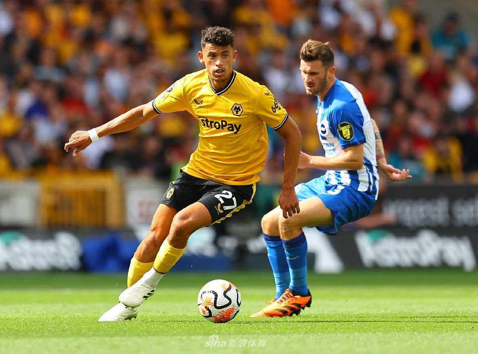 长尾关键词 长尾关键词