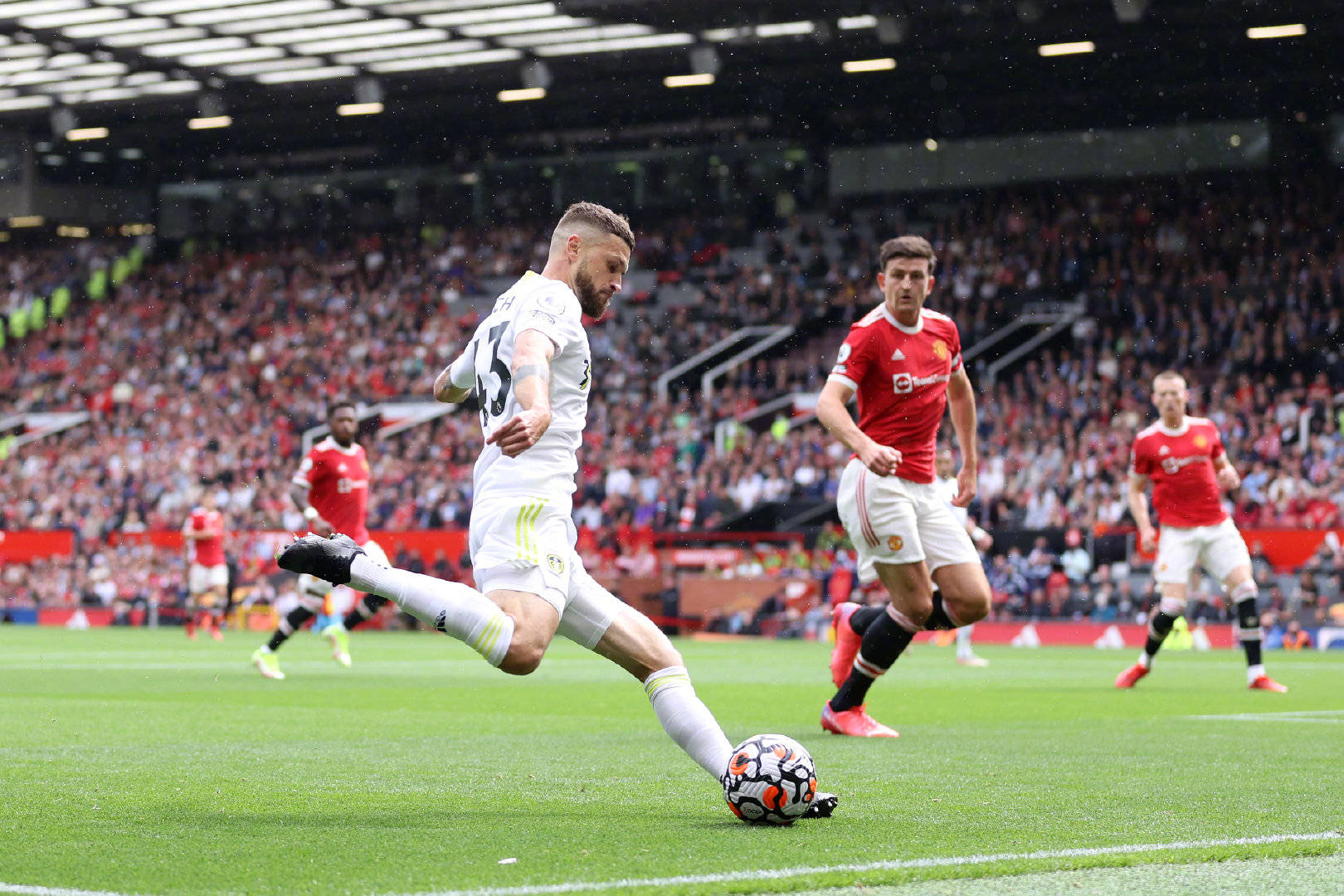 神的培养 神的培养