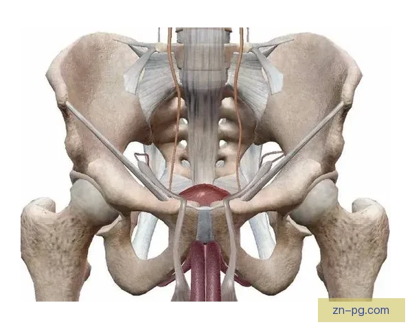 健身对战的策略分析与实战技巧