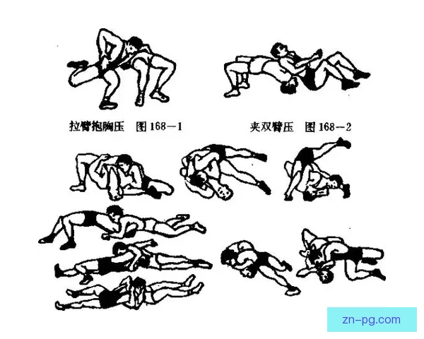 摔跤数据解析：分析技术与策略的奥秘