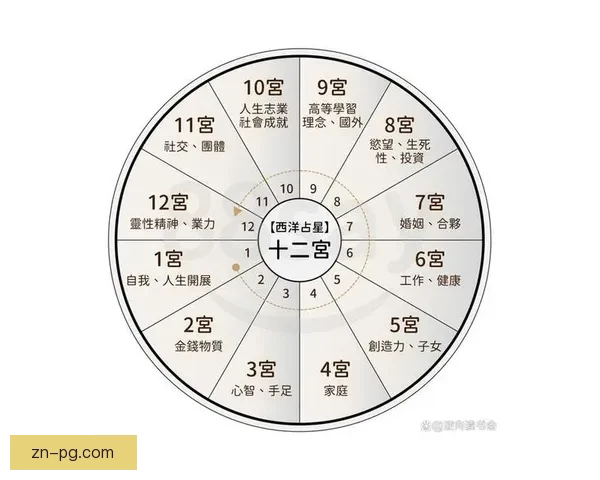 普拉提数据分析：探寻数字背后的奥秘