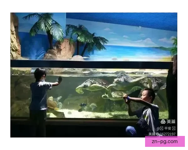 游泳：一场源远流长的人类水上文明探索