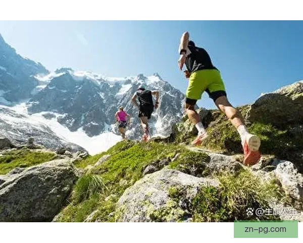 登顶高峰，征战山岳：挑战极限的登山联赛