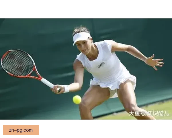 网球运动入门完全指南