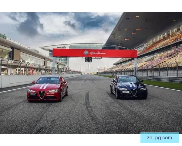 赛车赛事预测：突破极速挑战，揭秘速度之王的胜负离奇